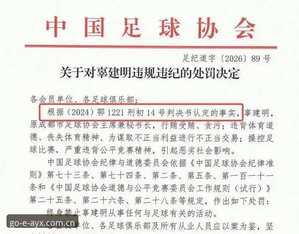 中国足协第三批禁足名单核验与信息获取完整指南：爱游戏体育辅助解读方案